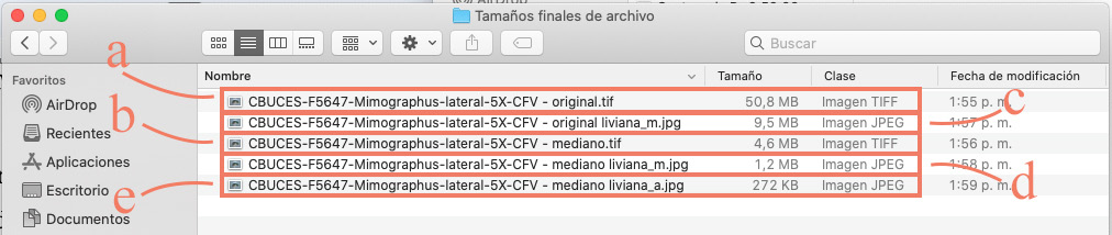 figura 12