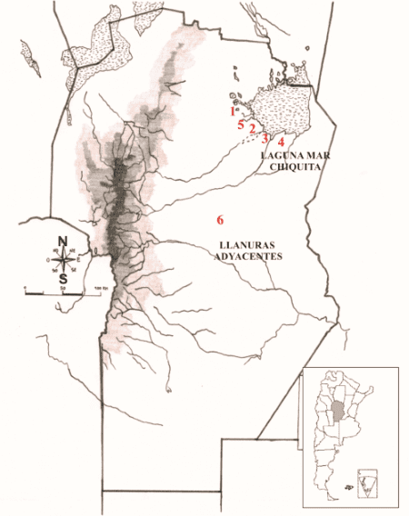 Sitios arqueológicos considerados en este estudio