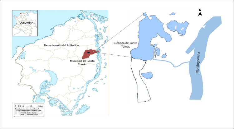 Ubicación de la Ciénaga de Santo Tomás en el departamento del Atlántico norte de Colombia