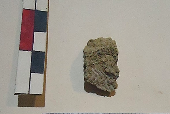 Marca de tejido hallado en el E5 de la segunda fase de excavación de rescate en el sector de Playa Bonita