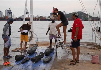Documentación fotográfica de las maderas del naufragio Manzanillo antes de su relocalización