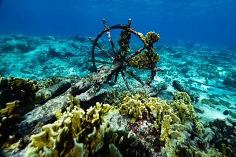 Naufragio identificado durante la Expedición Seaflower en cayo Bolívar