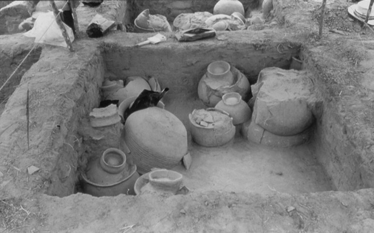 Vista de las excavaciones en Mecocal, municipio Miranda, estado Zulia.