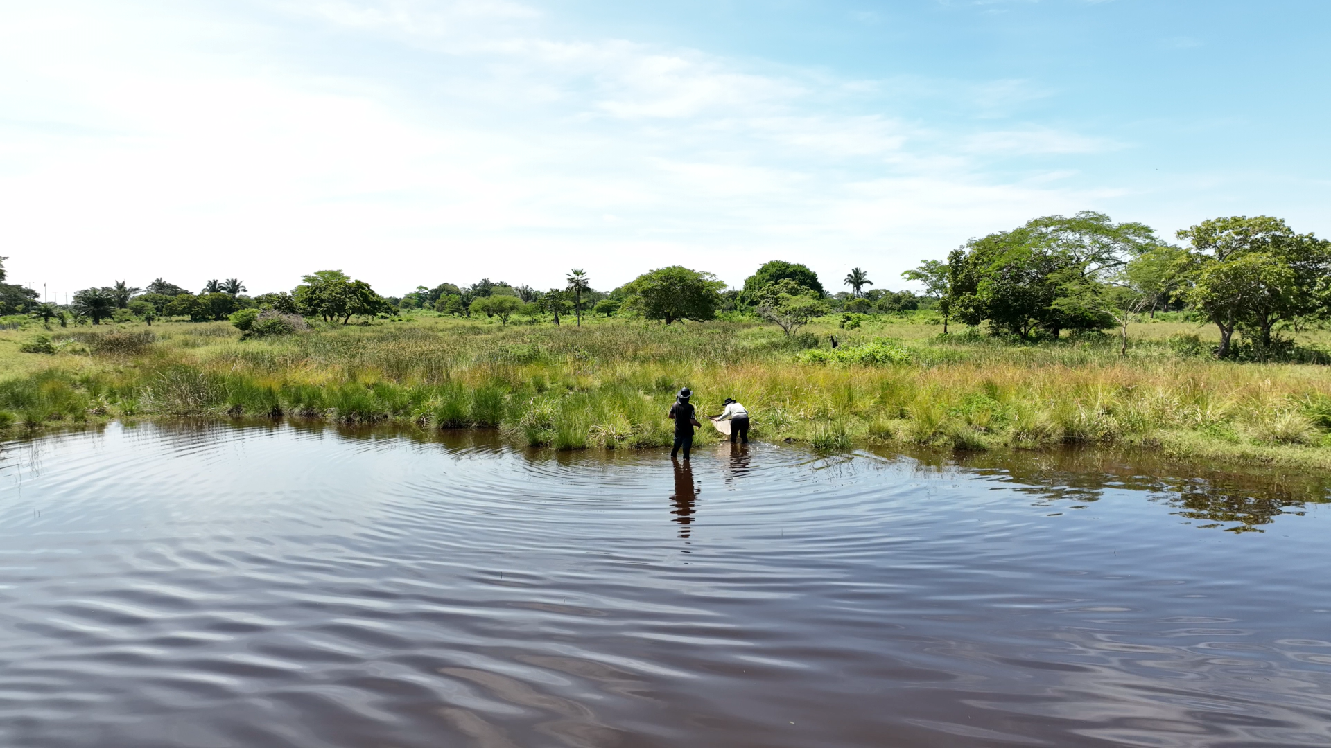 Imagen de Charca del departamento del Magdalena, Colombia. Ecosistema de humedal.