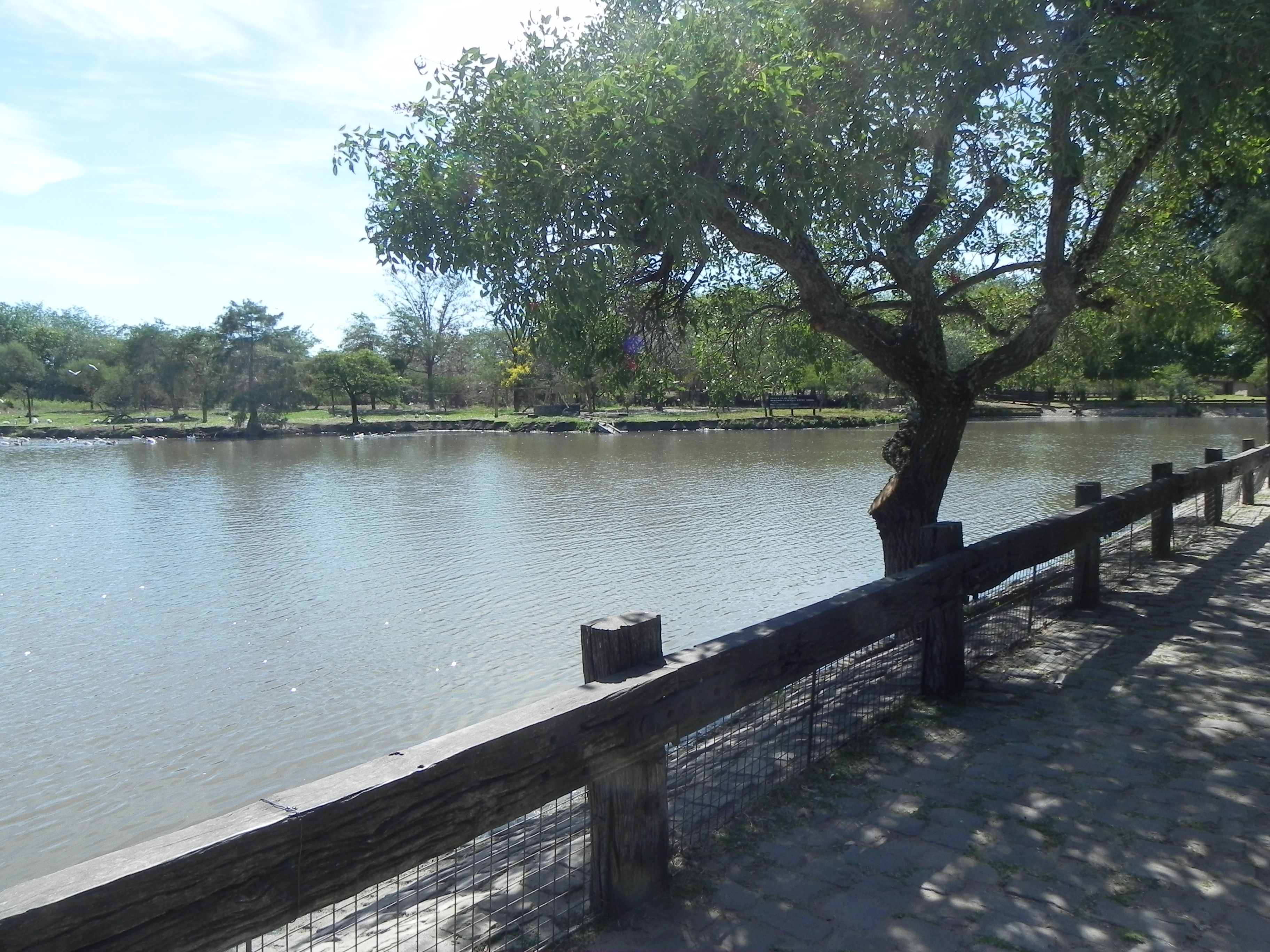 Laguna de la Pampa